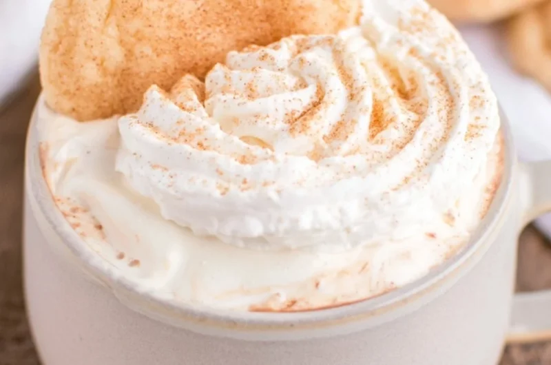 A warm cup of Snickerdoodle Hot Chocolate topped with whipped cream and cinnamon